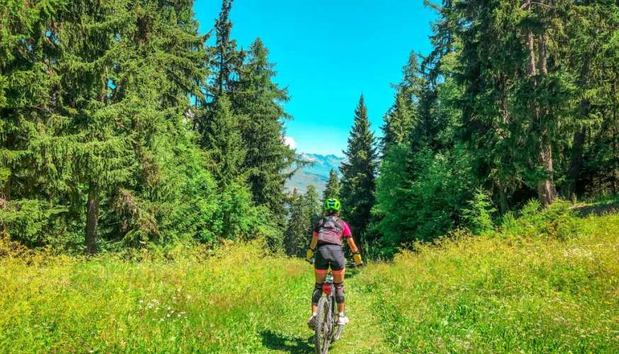 Itinéraire VTT Bois Croizelin