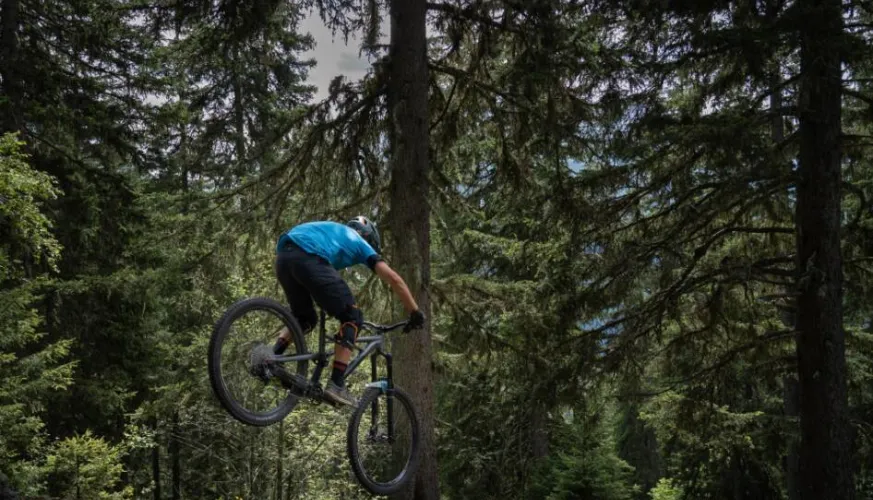 Mountain biking route – Forêt de Miollet_Champagny-en-Vanoise