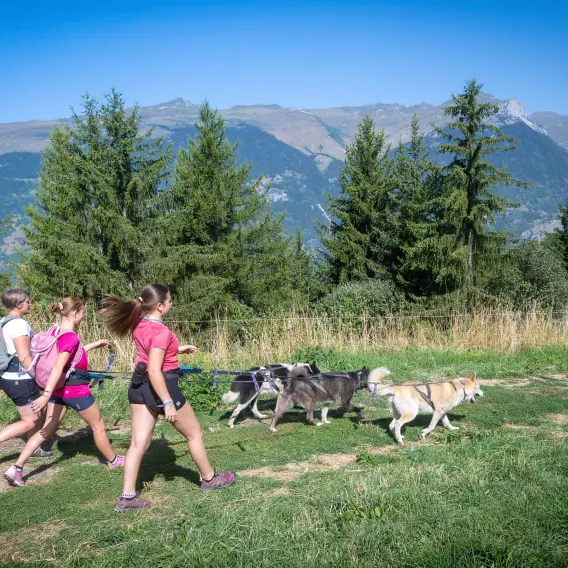 Cani_Rando-JNJ_Photo