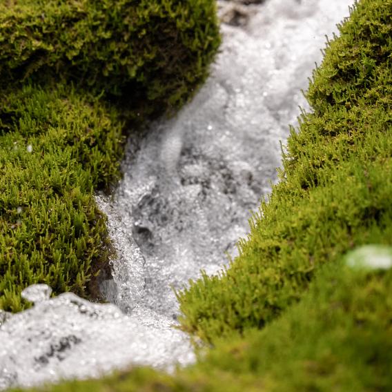 Source d'eau La Plagne