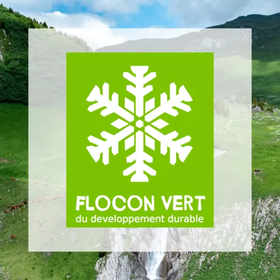 Flocon vert