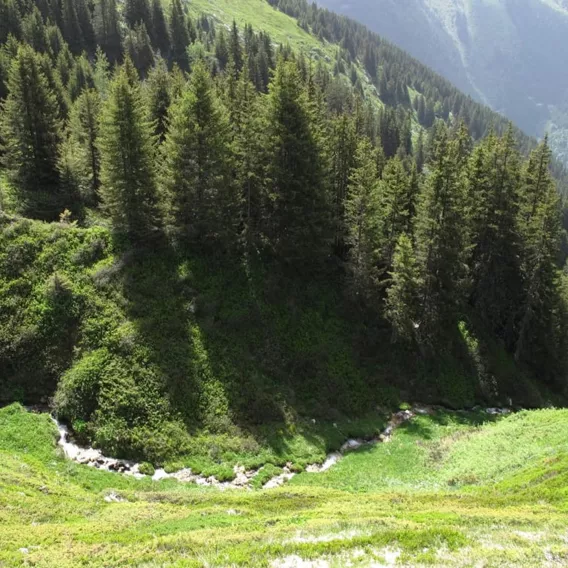 Le torrent du Remous