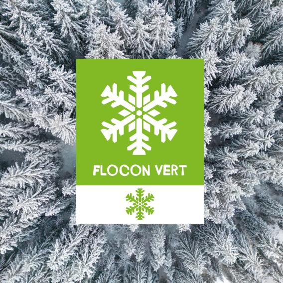 push-flocon-vert