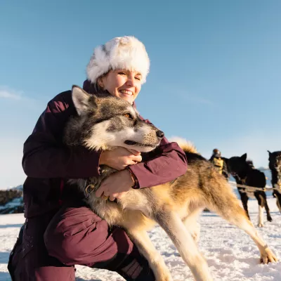 3 preconceived ideas about Nordic dogs, the kings of all sports activities that involve pulling loads