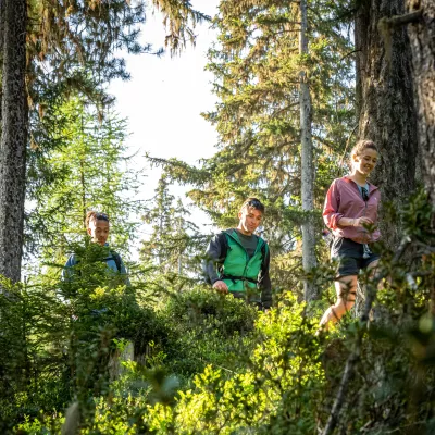Hiking in the forest: 5 best practices to pass on to your children