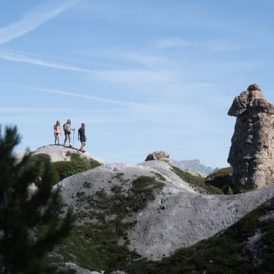 "La cembraie”, miracle of nature 