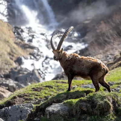 Champagny photo competition