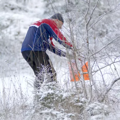 Orienteering in winter