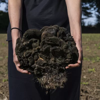 Campagne Première