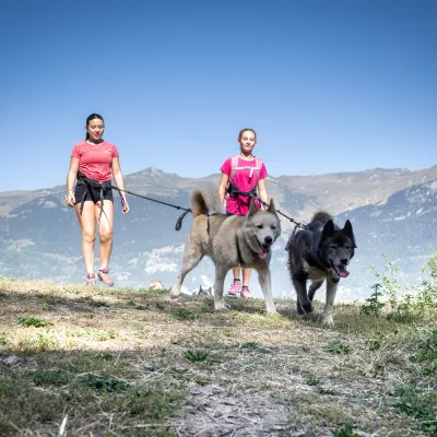 Cani-rando