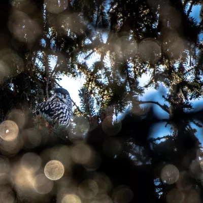 3 little-known winter hideaways for a quiet stroll