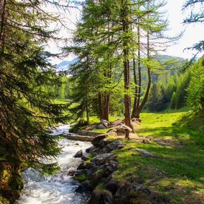 Canals: a centuries-old family tradition to keep!