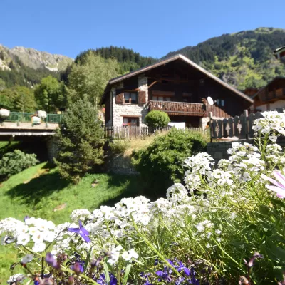 Apartments & chalets
