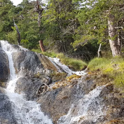 BACK TO BASICS: immersion in the wild with your family