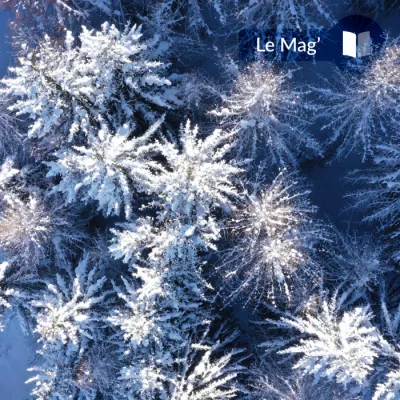 The call of the forest