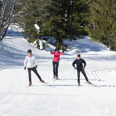 Nordic ski instructors