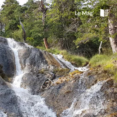 BACK TO BASICS: immersion in the wild with your family