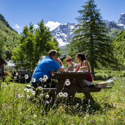 Picnic