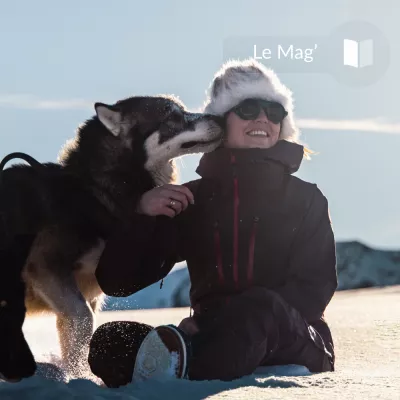 3 misconceptions about Nordic dogs