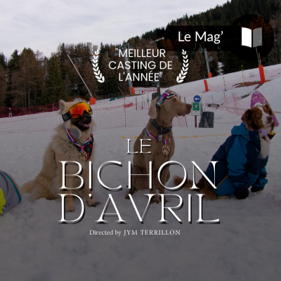 Bichon d'avril !
