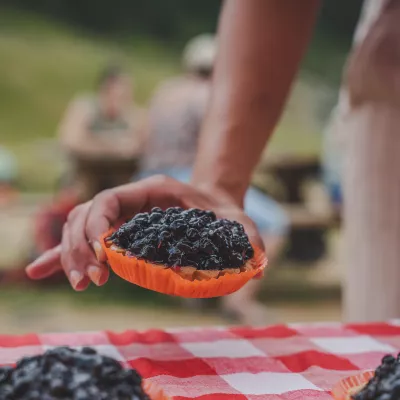 Markets and garage sales