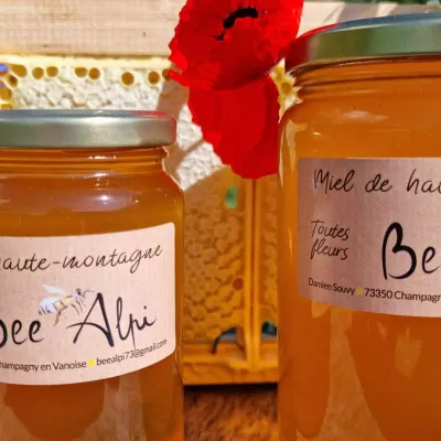 Damien Souvy, mountain guide and beekeeper