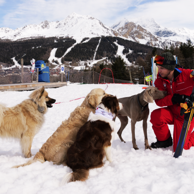 La Plagne launches the first Canine Ski School in the world!