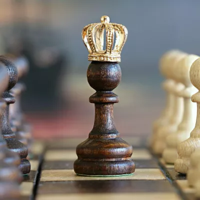 Chess Festival