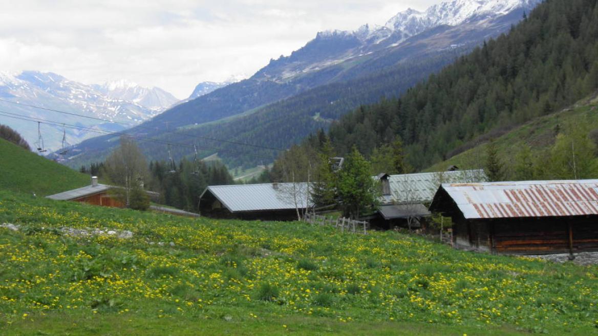 La vallée des Bauches