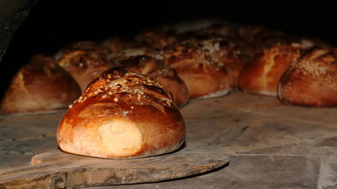 The bread festival