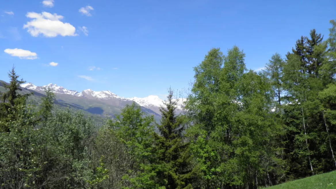 Le Chemin de la Pierra