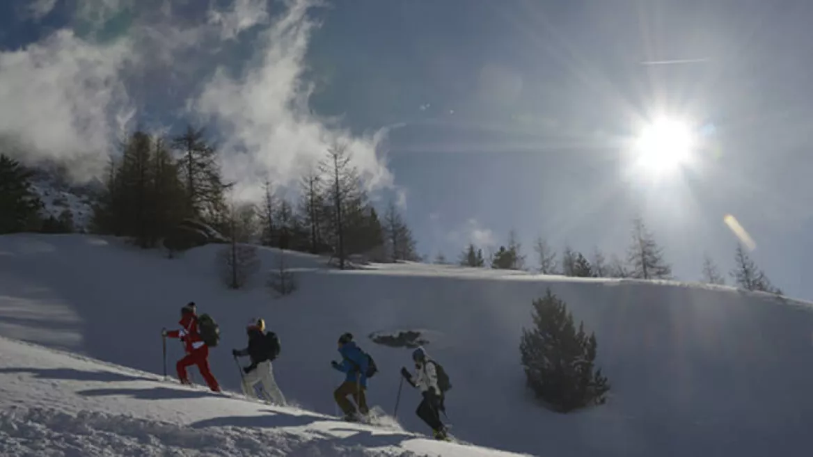 Accompanied snow shoe outings by night