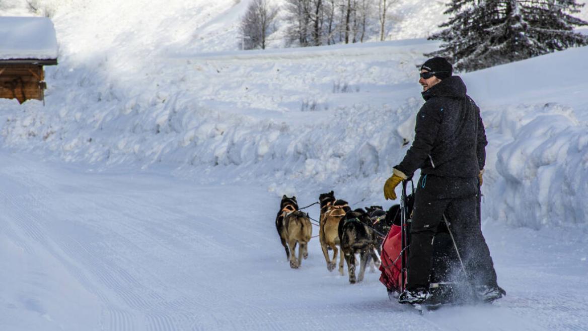 Dog sledding