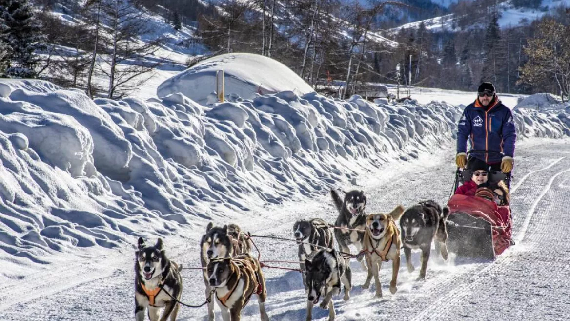 Dog sledding