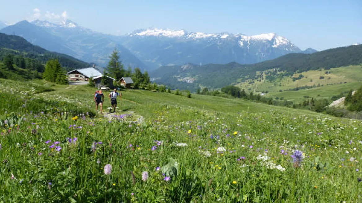 Grand Tour de Tarentaise - Hiking 27 days