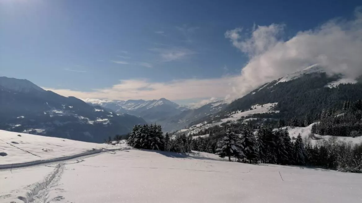 Snowshoe outing at Les Fours