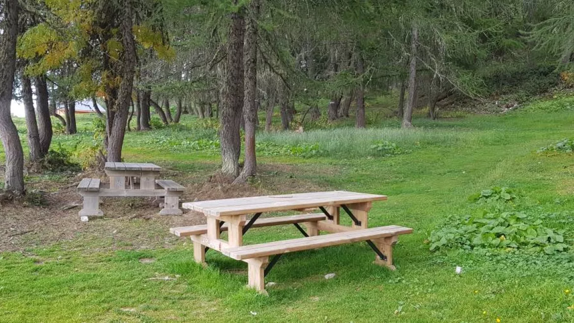 Picnic table at the start of the Frasses trail