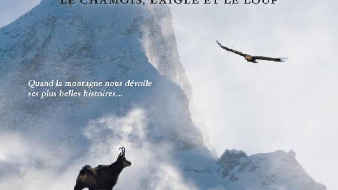 Mountain cinema : "SAUVAGE, the chamois, the eagle and the wolf"... New film