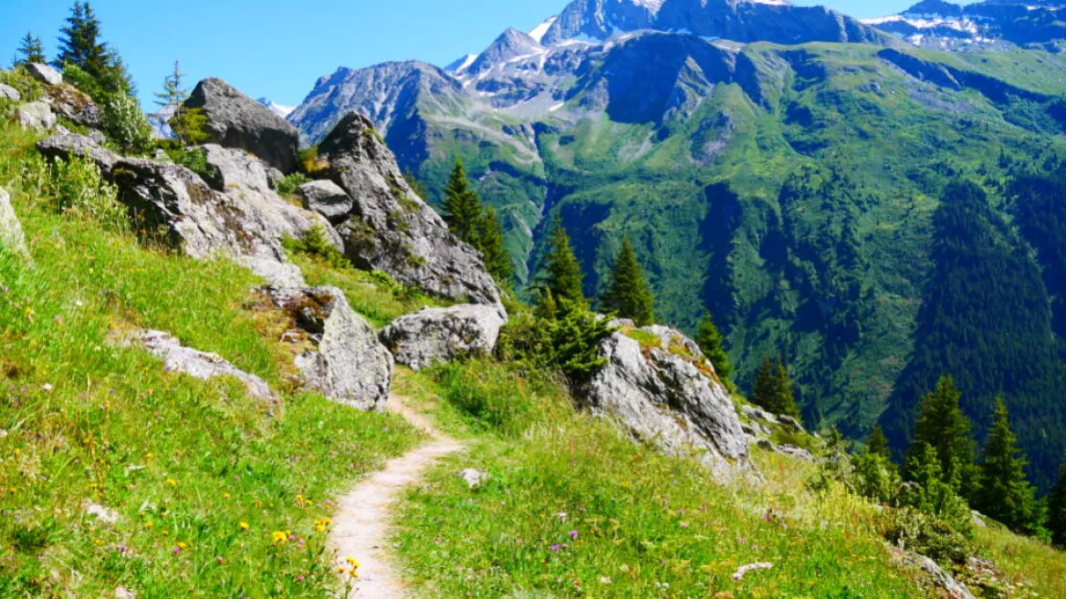 Sur le sentier de Lécheron