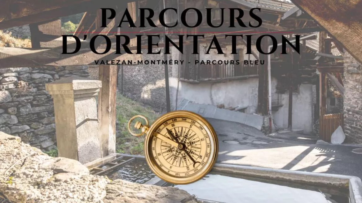 Orienteering course - Valezan Montméry