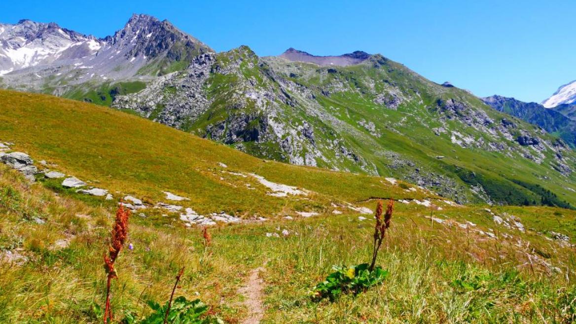 Vélière lake and Chiaupe alpine pasture