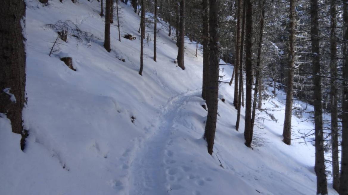 Taillette snowshoeing itinerary