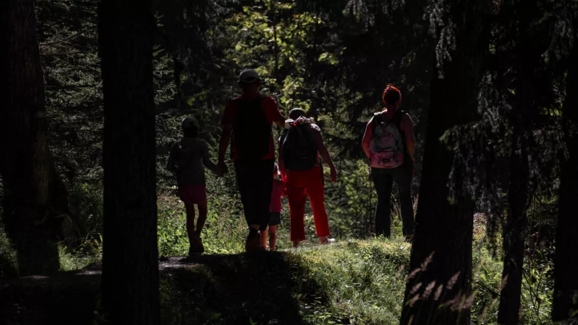 Bois des Fornettes trail