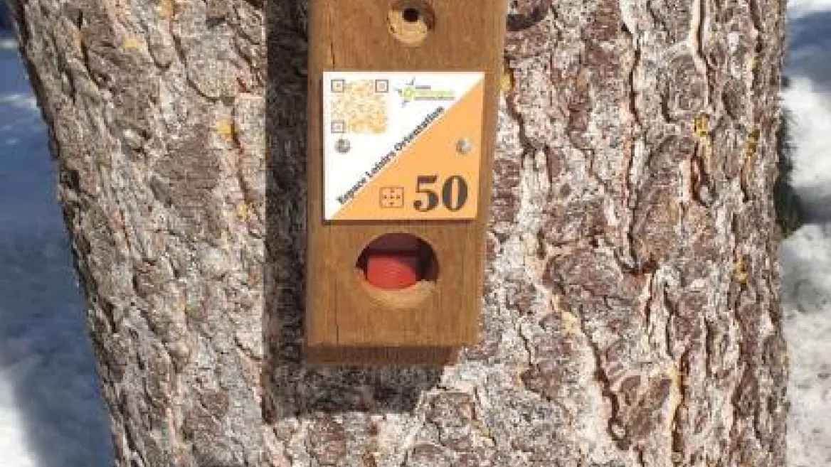 Parcours d'orientation