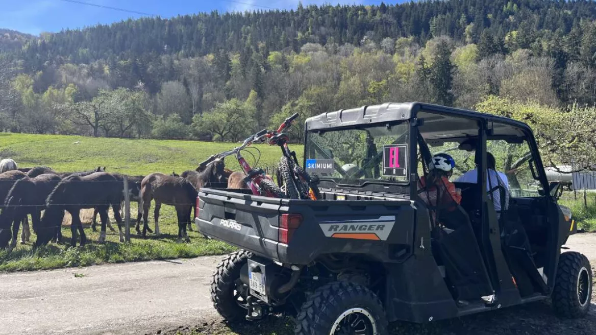 Buggy Passenger Ride - ELPRO