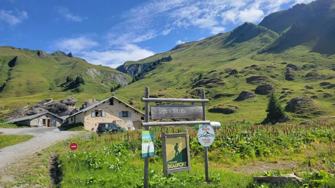 Visit to the Plan Pichu Alpine Pasture with the EAC_Aime-la-Plagne