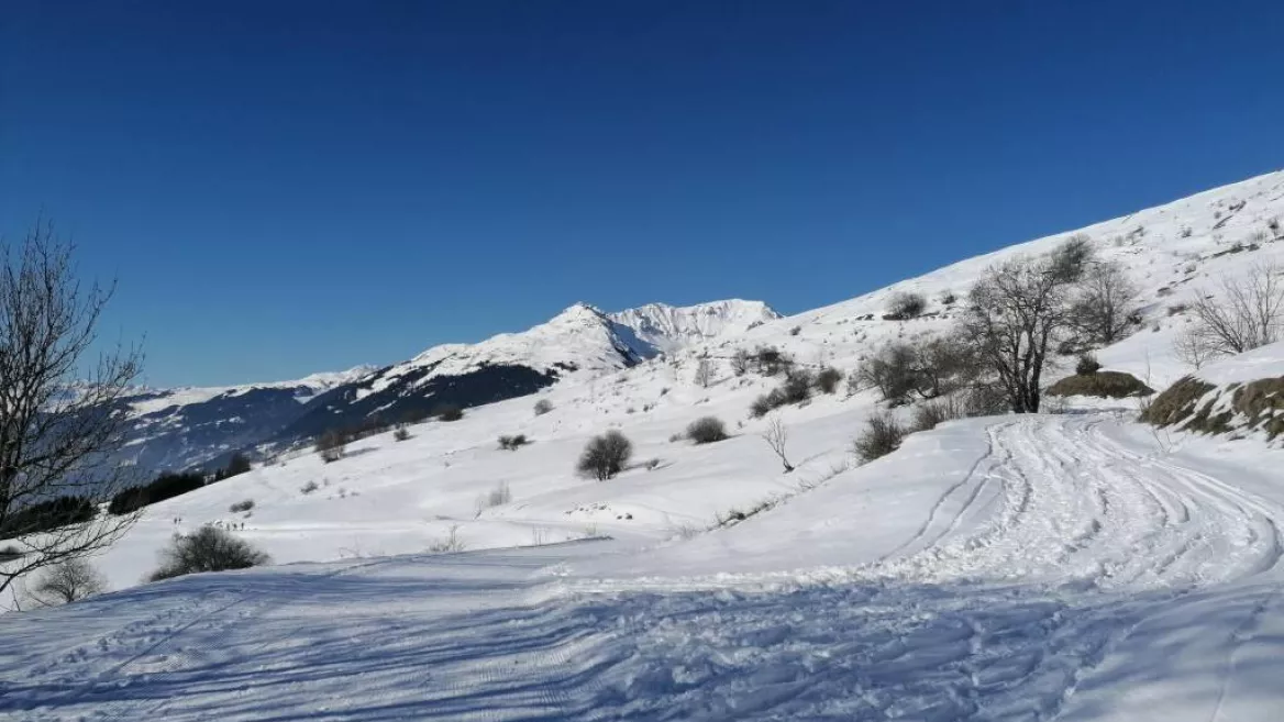 Snowshoe trail – Les Fours circuit_La Plagne Tarentaise