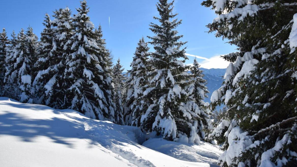 Balade à raquettes - Boucle des crêtes_La Plagne Tarentaise