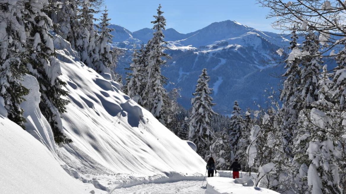 Balade à raquettes - Boucle du Bonpas_La Plagne Tarentaise