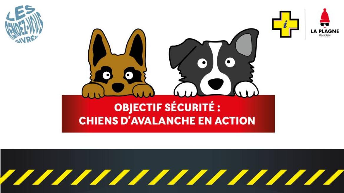 Chiens d'avalanche en action_La Plagne